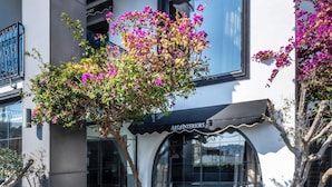 A modern building with a storefront labeled "ART INTERIORS". - Art & Interiors (Bodrum)