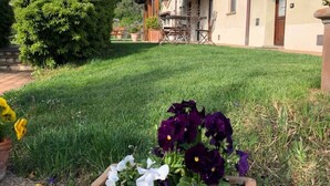 Un jardí ben cuidat amb una zona de terrassa i un edifici amb una pèrgola.