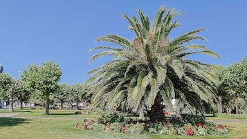 Parco della struttura