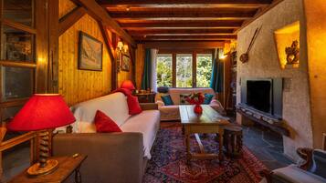 Télévision, cheminée, lecteur de DVD, chaßne hi-fi