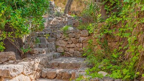 A stone staircase surrounded by greenery. - Vacation Home "Casa en Centro Histórico Pollença" with Private Terrace, Garden & Wi-Fi (pollensa)