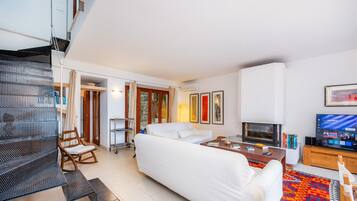 Télévision, cheminée, chaßne hi-fi