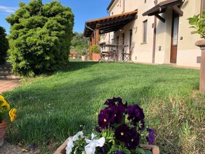 Property grounds - SUNFLOWER 4 km from the sea with swimming pool for 2+2 people (Marche)