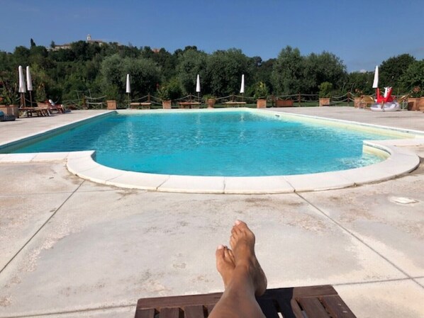 A pool with a curved edge, surrounded by a concrete deck and wooden lounge chairs.