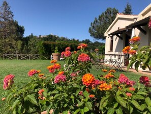 Parco della struttura