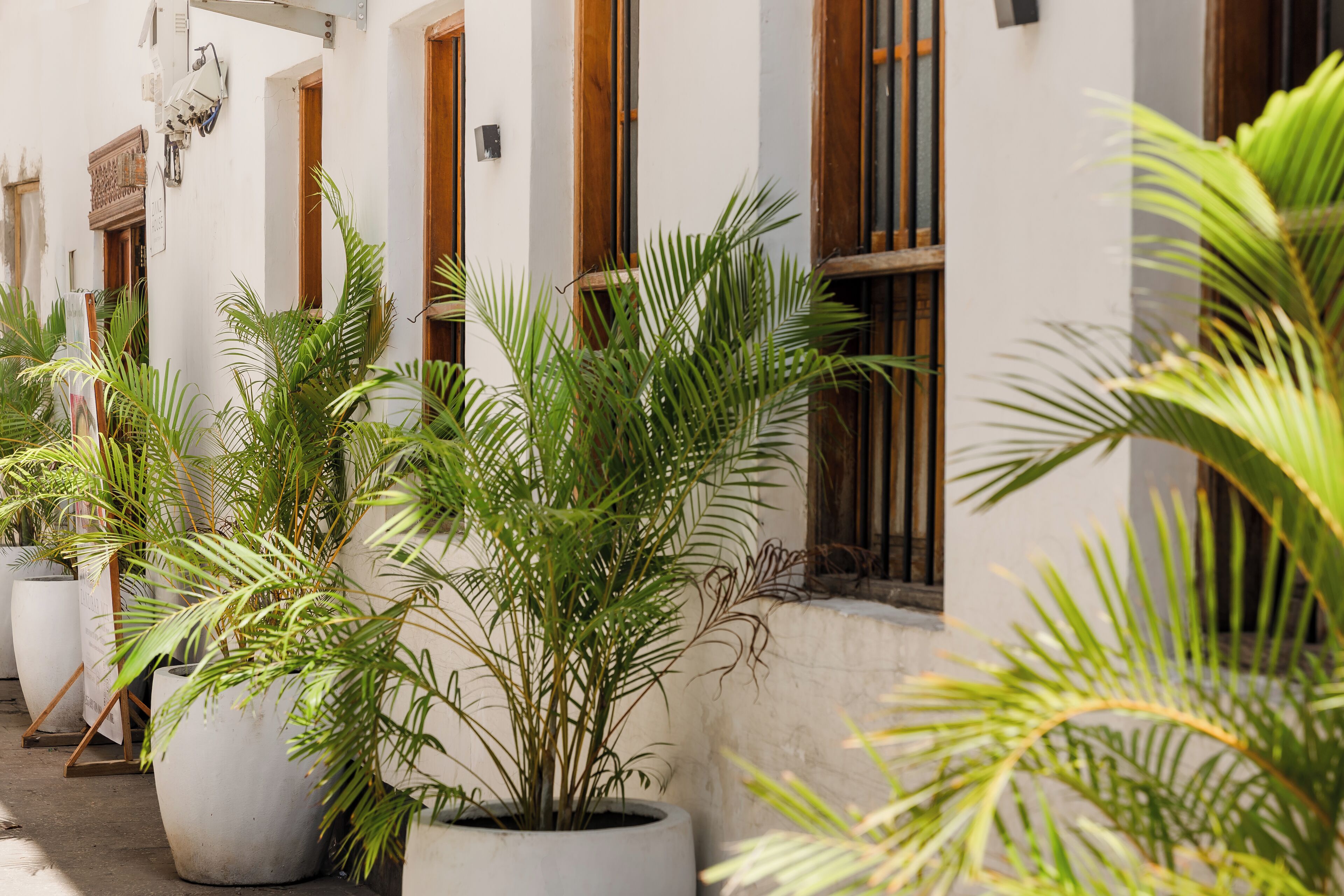 المنشأة من الخارج