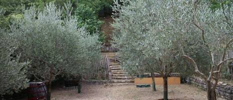 Un jardín con olivos, una valla de madera y un sendero de tierra que lleva a una escalera.