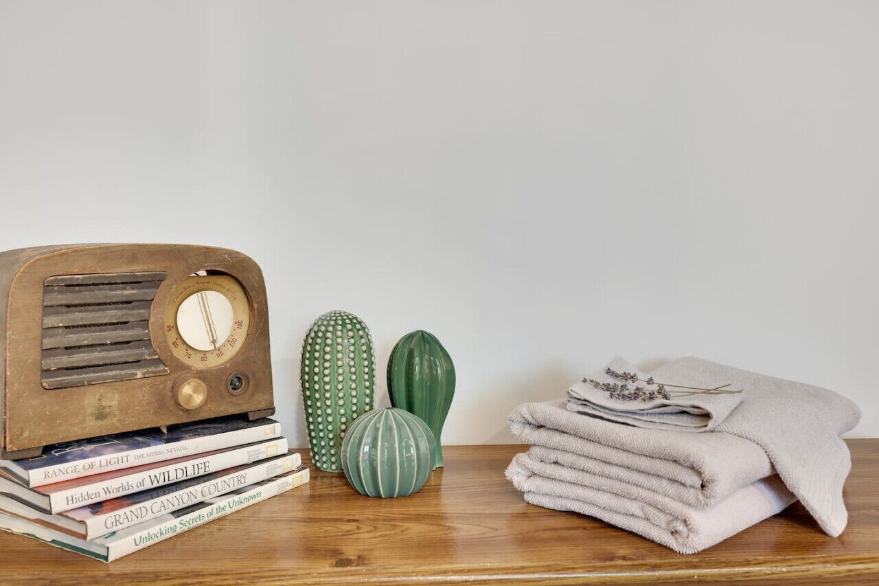 A wooden table with a vintage radio, books, and decorative cacti.