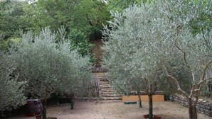 Un jardín con olivos, una valla de madera y un sendero de tierra que lleva a una escalera.