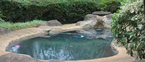 Udendørs pool
