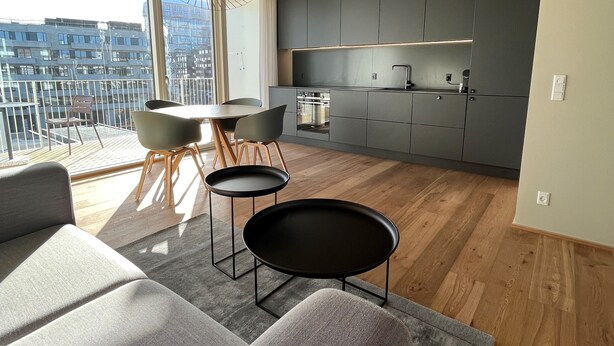 A modern kitchen with grey cabinets, a dining area with a round table and chairs, and a balcony with a view of buildings. - STAY Nordhavn (Copenhagen)