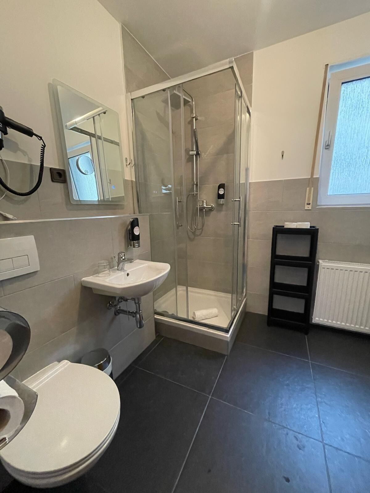 A modern bathroom with a glass-enclosed shower, a white sink, and a toilet.