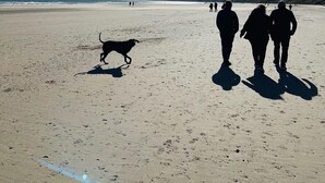 A beach with people walking and a dog. - Coast Cottage -  a very spacious, dog friendly, cottage for 4 guests (Bempton)