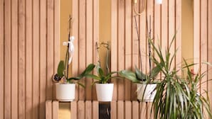 A room with a wooden slat wall, three potted plants, a blue sofa, and a wall-mounted light fixture. - Polek Hotel (Çanakkale)