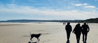 A delightful single storey cottage located on a shared courtyard