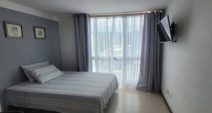 Furnished Apartment Pereira