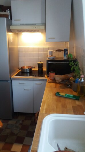 Fridge, microwave, oven, stovetop - Apartment 1910, view of the Effeil Tower, metro, a stone's throw from Paris (Malakoff)