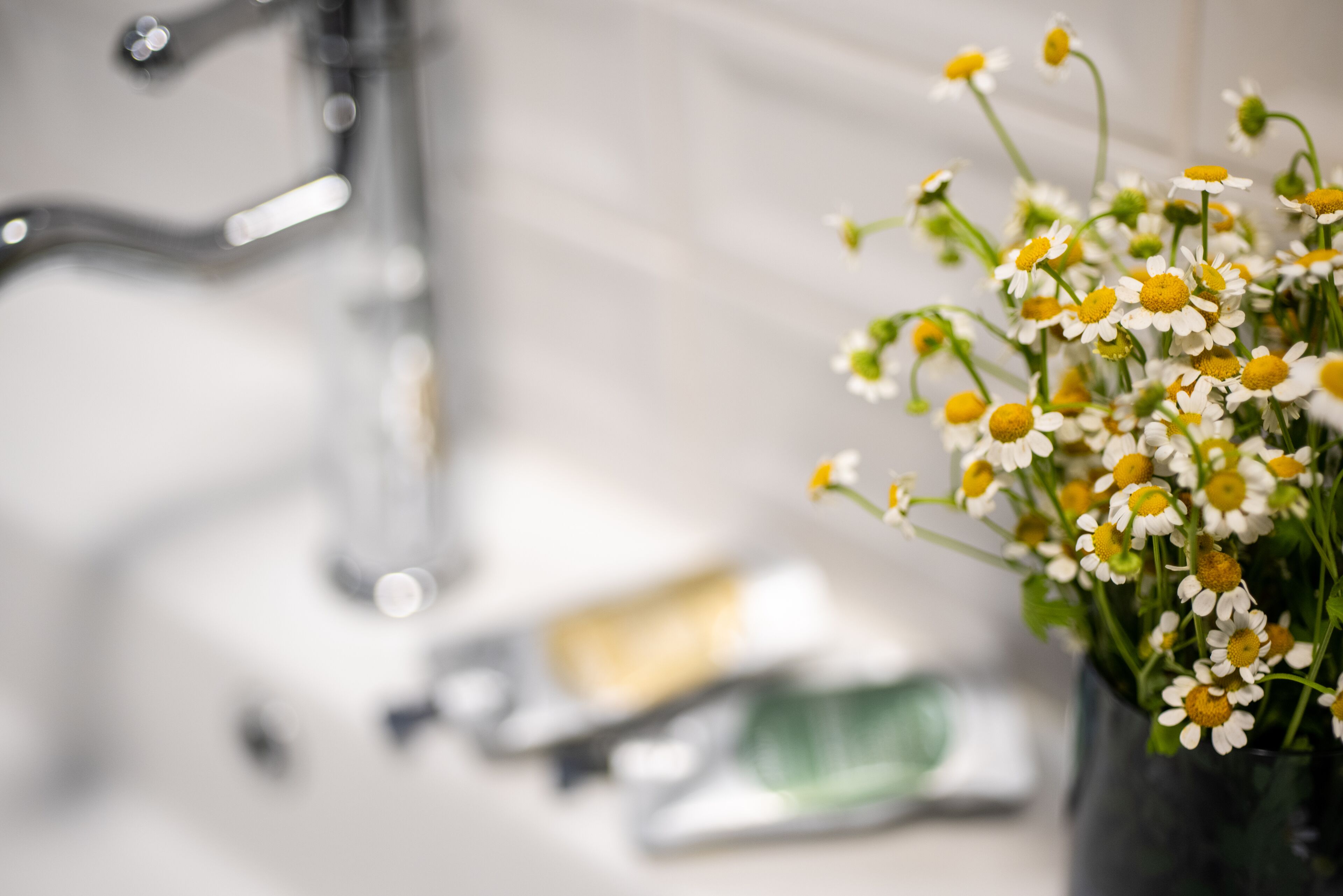 Foto - The David Story Boutique