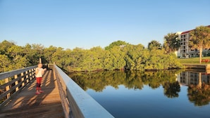A wooden bridge over calm water with dense greenery on both sides. - LIVE ON THE BEACH. Gulf Beach Front - Spectacular views. (Indian Shores)