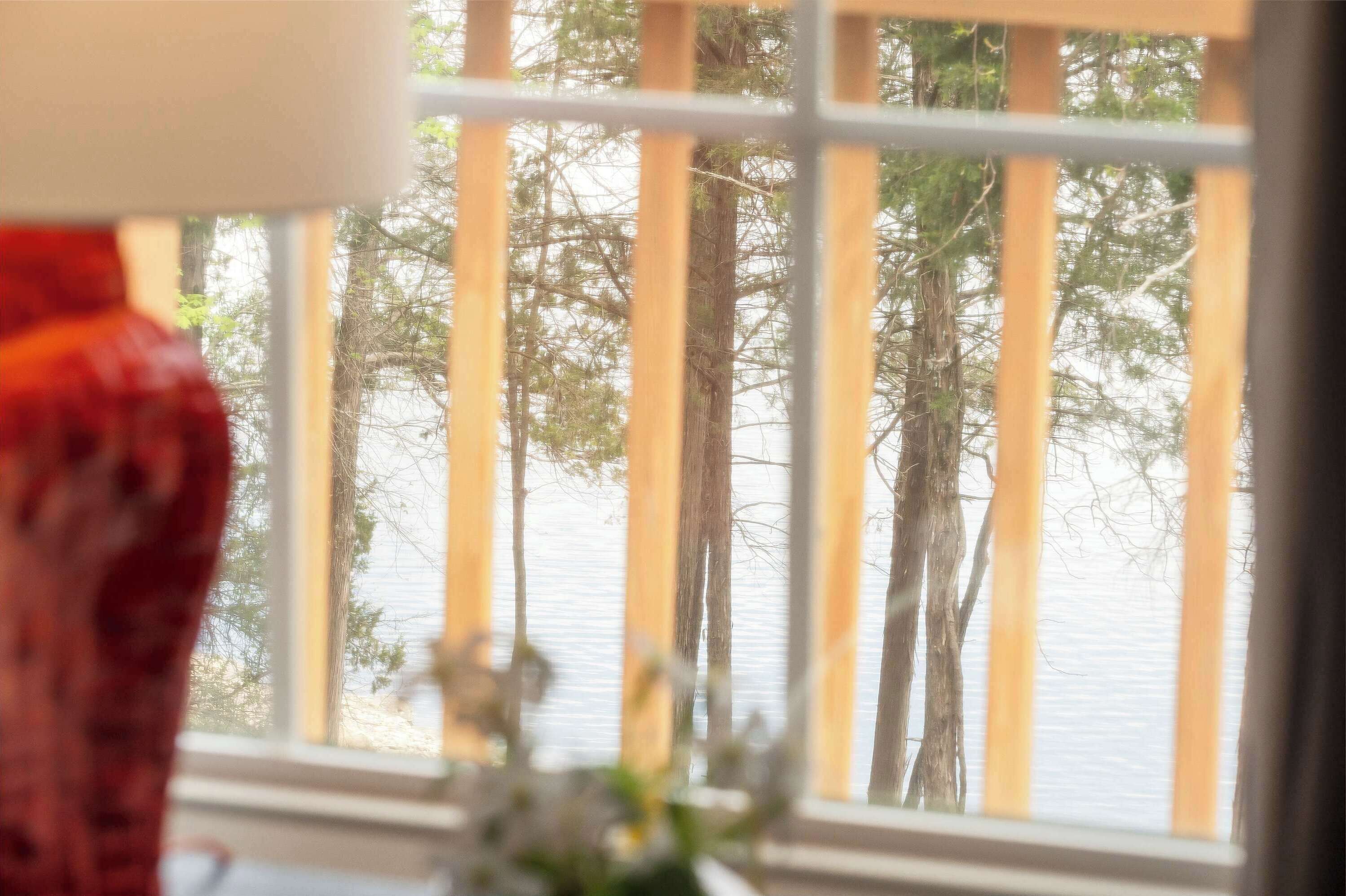 A window with vertical blinds, a view of trees, and a body of water.