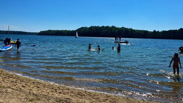 A beach with people engaging in water activities, a sailboat in the distance, and a forested shoreline. - Great Home With Large Yard 300 Yards To Sheep's Pond (2277) (Brewster)