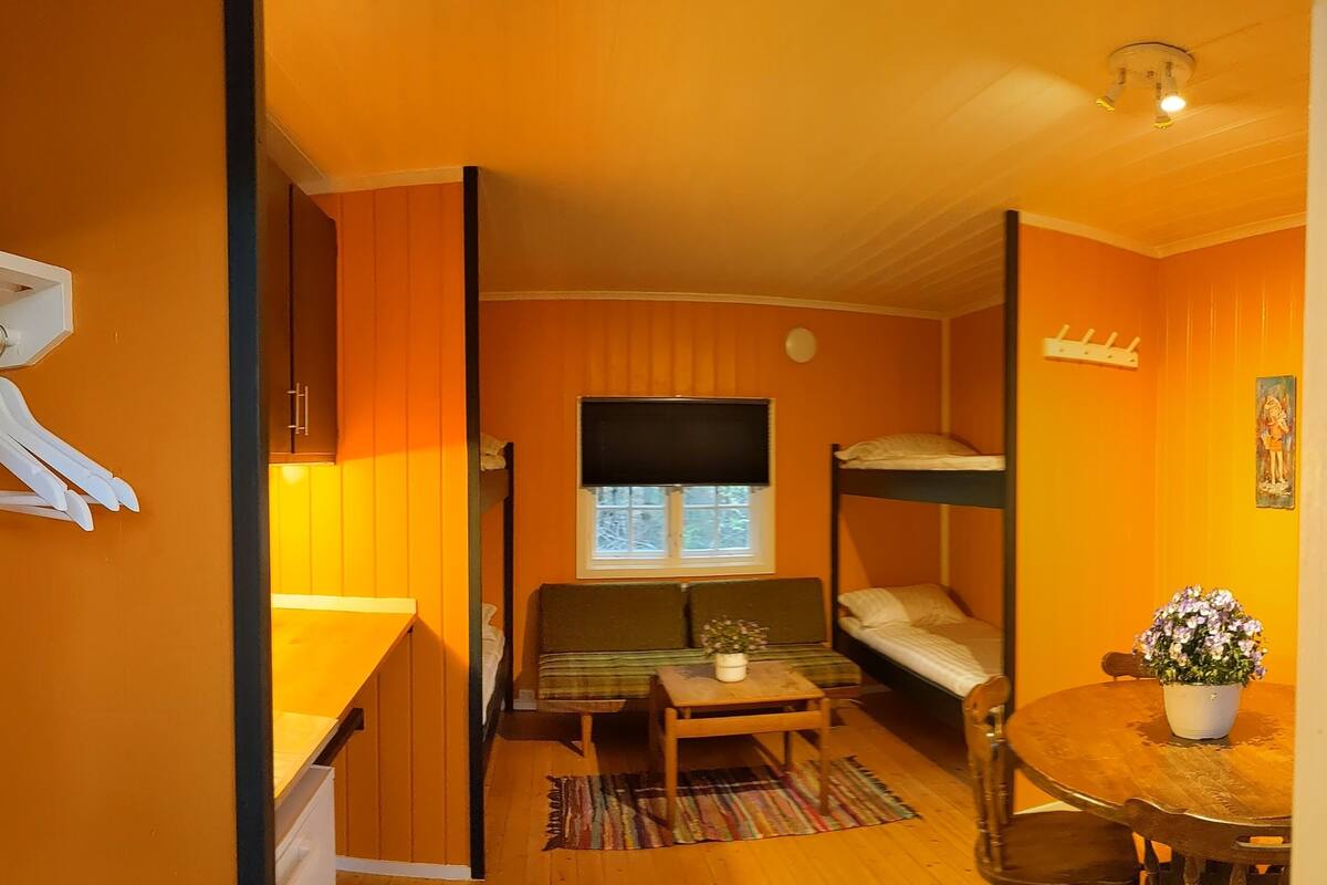 A compact room with bunk beds, a small table with a plant, a window, and a ceiling fan.