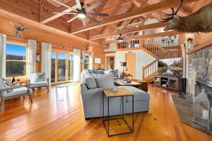 Smart TV, fireplace, books, video library