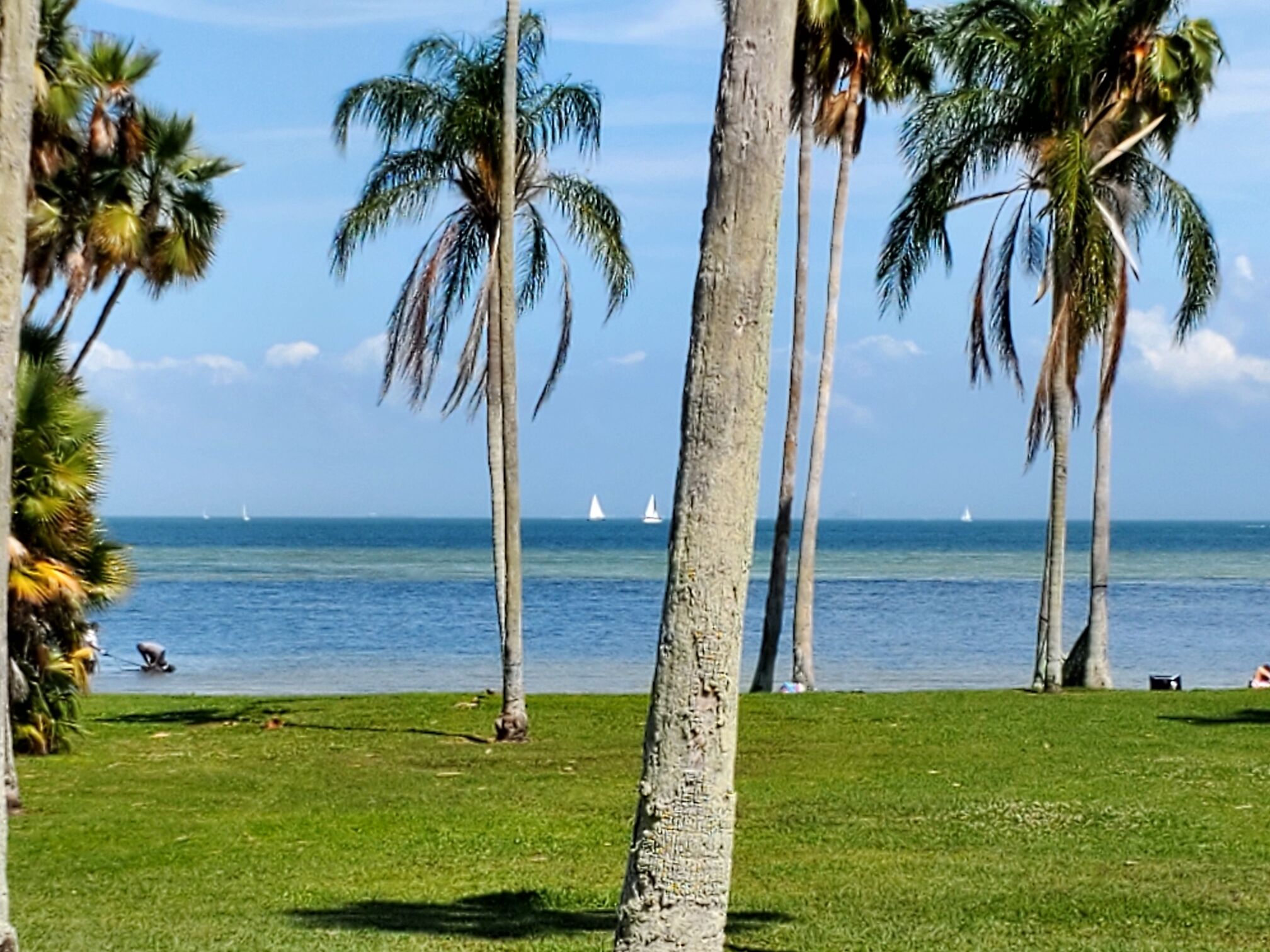 Beach nearby, sun loungers, beach towels