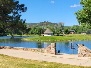 Property grounds - Remodeled home in the woods, just past city limits. With horse pasture nearby! (Rapid City)