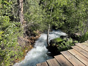 المنطقة المحيطة بالمنشأة