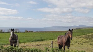 Two horses in a fenced field with a distant view of mountains and a body of water.