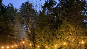 A backyard with a fire pit, outdoor chairs, and a dog. - Relaxing retreat in the country (perth east)