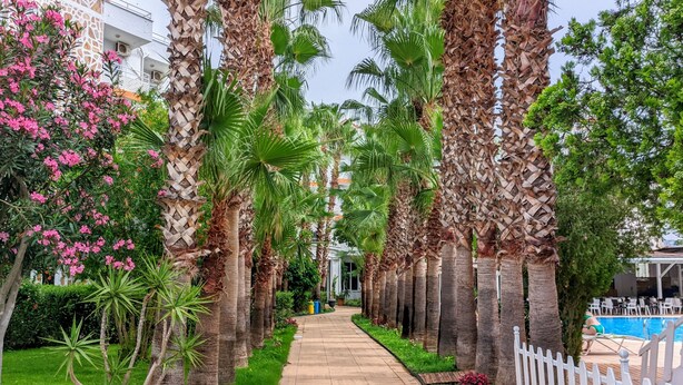 A pathway lined with palm trees and flowering plants, leading to a pool area with a white fence. - UK Hotels Kiriş (Kemer)