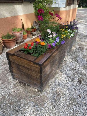 Plants thrive in this garden planter, surrounded by potted friends and a serene building backdrop.