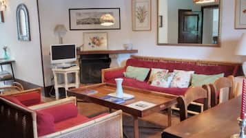 Télévision, cheminée, table de tennis de table, livres