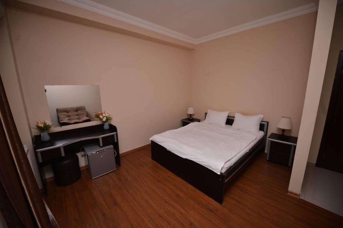 Standard Double Room, City View | Minibar, desk, laptop workspace, free WiFi