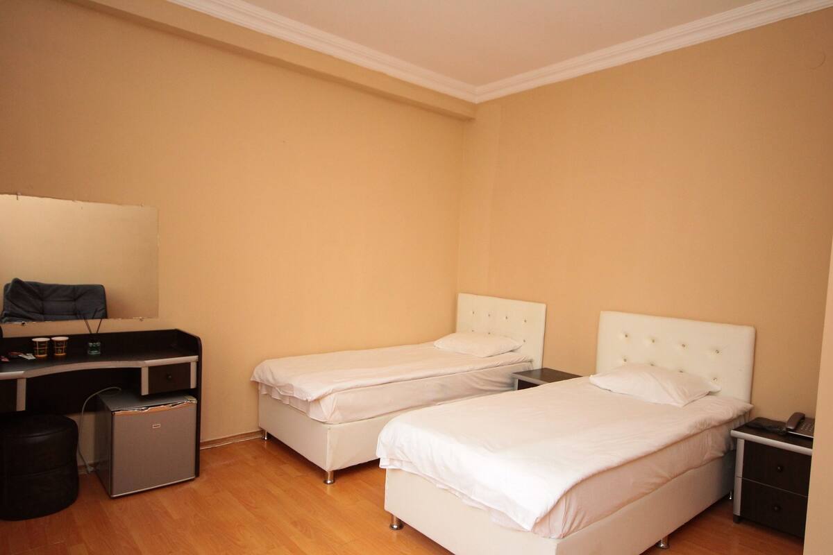 Standard Twin Room | Minibar, desk, laptop workspace, free WiFi