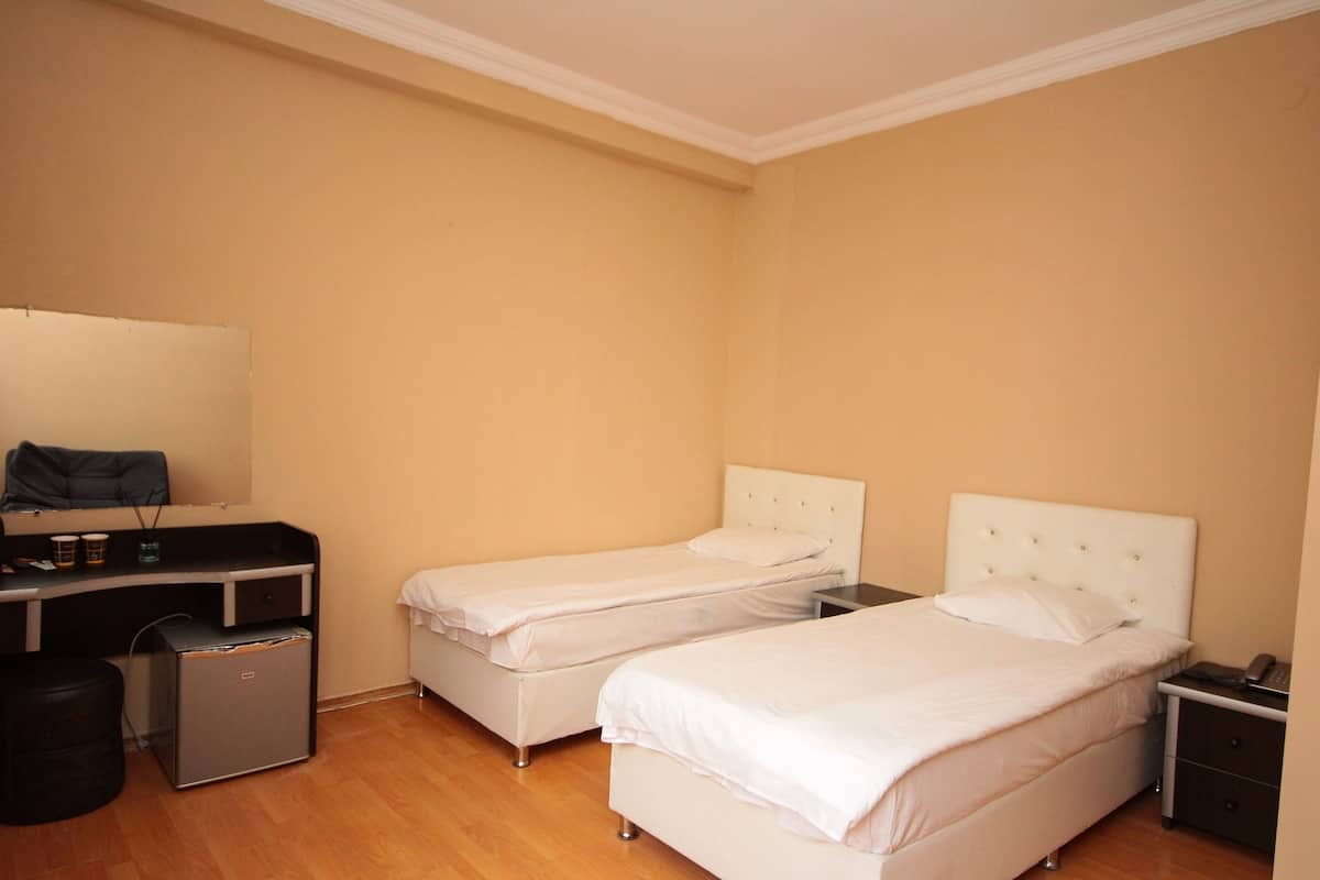 Standard Twin Room | Minibar, desk, laptop workspace, free WiFi