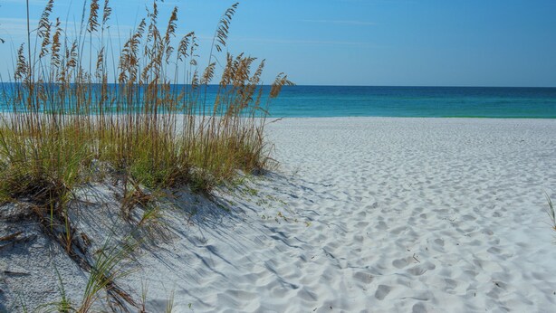 Ein Sandstrand mit hohem Gras und blauem Himmel.