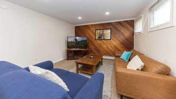 Smart-tv, een open haard, een dvd-speler en boeken