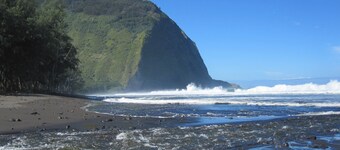 Parklike 4 bedroom AnthuriumHouse, 3+ acres, peaceful, gated, convenient 