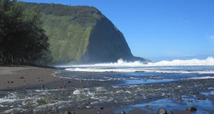 Parklike 4 bedroom AnthuriumHouse, 3+ acres, peaceful, gated, convenient