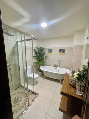Combined shower/bathtub, hair dryer, towels, soap