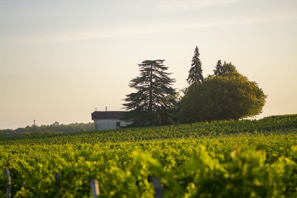 บริเวณภายนอก