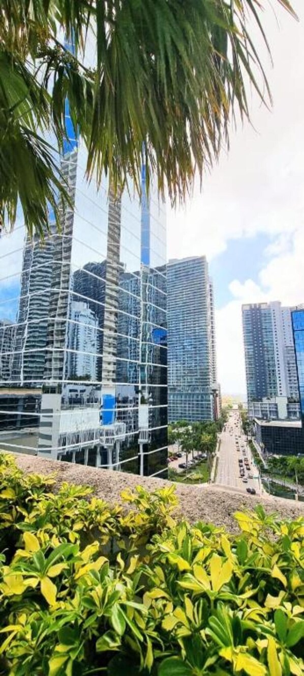 A modern urban area with high-rise buildings and a well-maintained green space with palm trees.