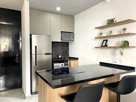 Luxury Apartment | Private kitchen | Mini-fridge, microwave, toaster, coffee grinder