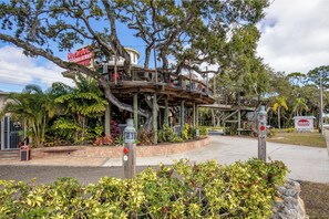 Miscellaneous - Wrap-Around Oceanfront Views from this Corner Condo! Best NSB Location! (New Smyrna Beach)