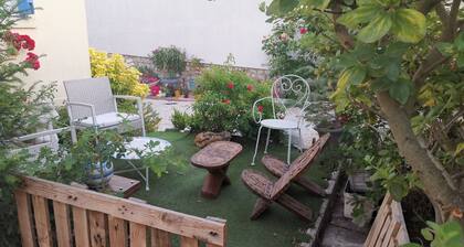 Attractive F2 souplex apartment with free PARKING, small garden and terrace