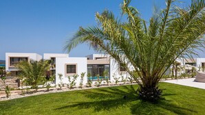 Un edificio moderno con techo plano, amplias ventanas y un césped cuidado con palmeras.