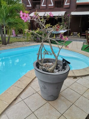 Piscine extérieure